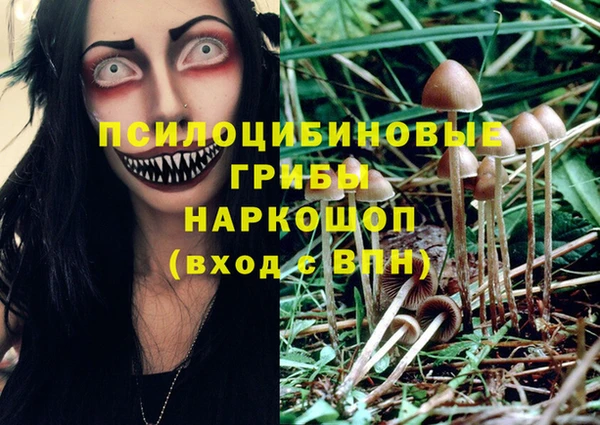 экстази Вяземский
