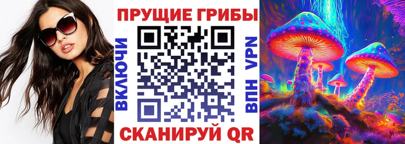 магазин  наркотиков  Льгов  Псилоцибиновые грибы MAGIC MUSHROOMS 